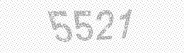 Visual security code — type the characters shown in the image